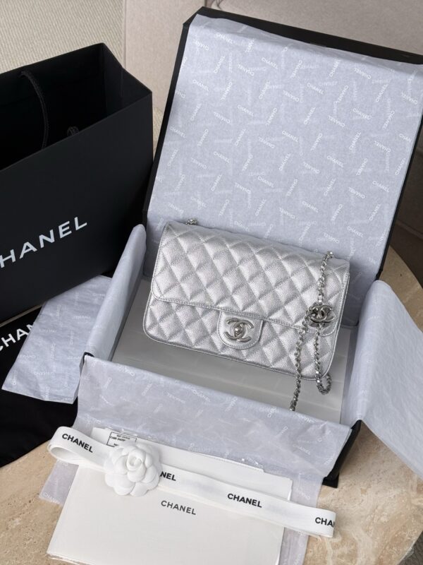 Chanel bag 2025 authentic quality