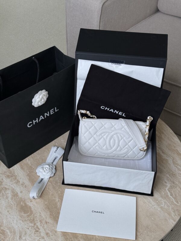 Chanel bag 2025 authentic quality