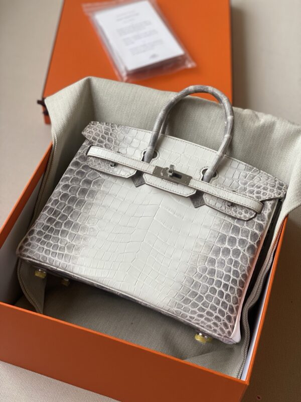 Hermes Birkin 30 himalayan bag 2026 authentic quality