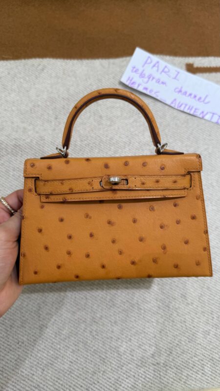 Hermes kelly 25 authentic quality