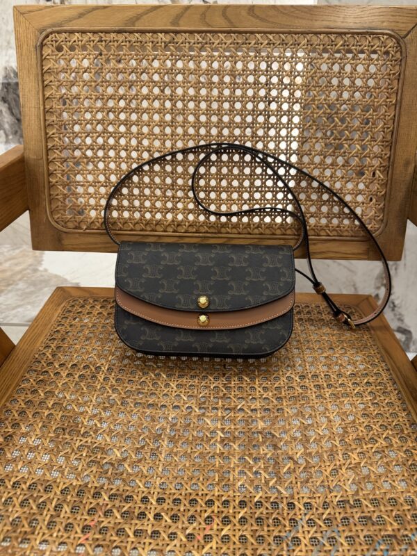 Celine bag 2026 authentic quality